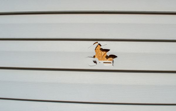 Cost of Siding Hole Patching in Cherry Hill
